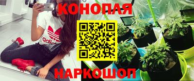 соль курить ск Новозыбков