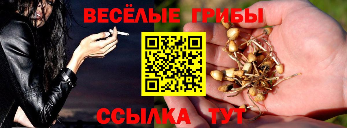 Новочебоксарск  Псилоцибиновые грибы MAGIC MUSHROOMS  Псилоцибиновые грибы мицелий  Вход с VPN 